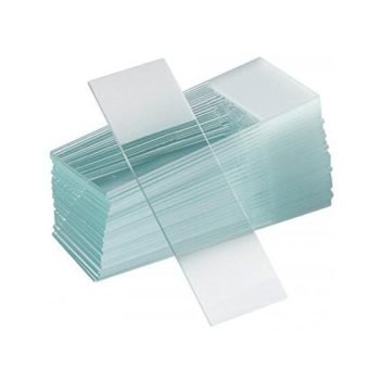 Biology-Lab-Equipment-Plain-Slide-560x560